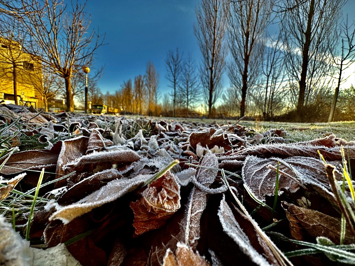 Hielo en Vitoria-Gasteiz. Foto del usuario de EITB MEDIA, Guillermo Agirre