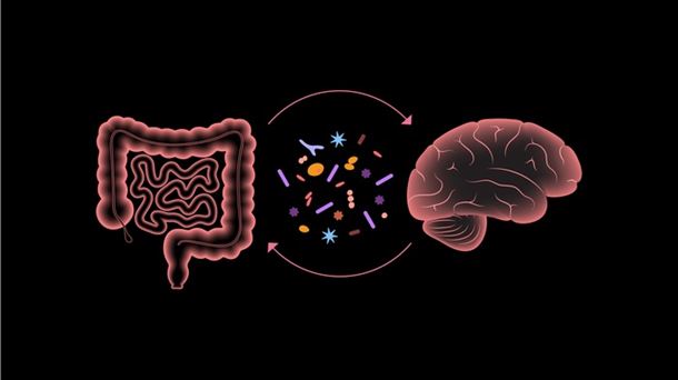 La influencia de la microbiota intestinal en la salud mental. Descubrimos el urbanismo de la antigua Donostia