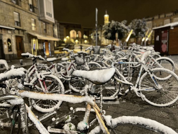 Primera nevada del año en Araba