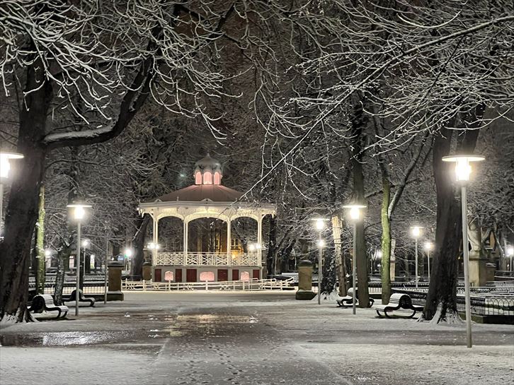 Primera nevada del año en Araba