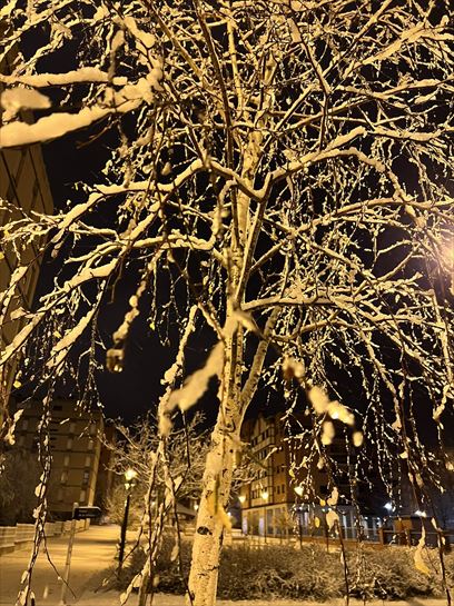 Primera nevada del año en Araba