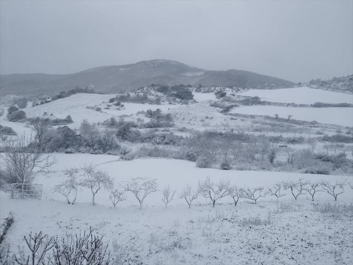 Primera nevada del año en Araba
