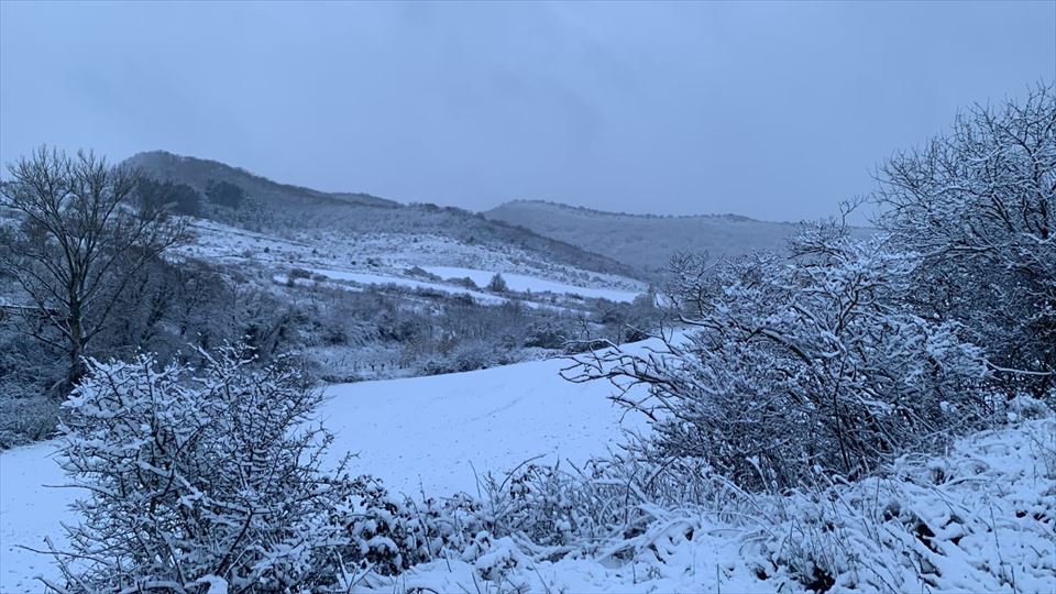 Primera nevada del año en Araba
