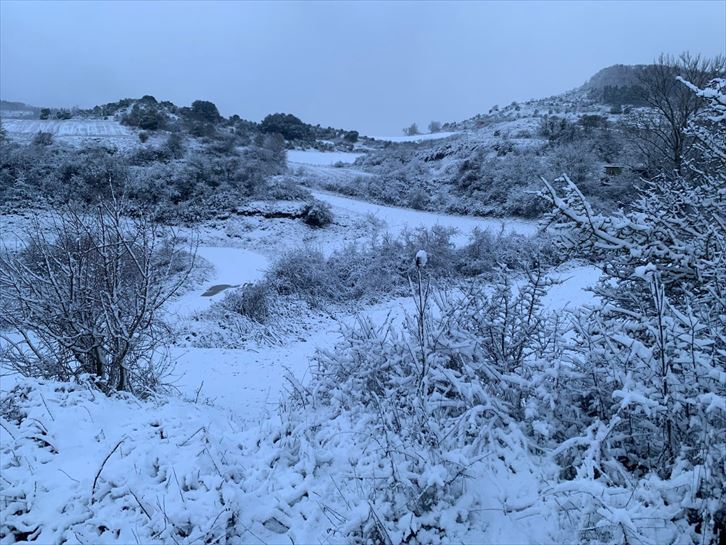Primera nevada del año en Araba