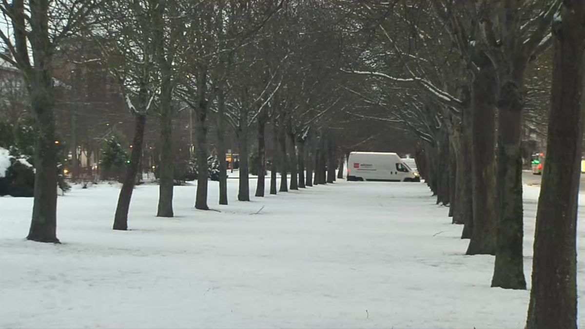 Nieve en Vitoria-Gasteiz. Imagen obtenida de un vídeo de EITB Media.