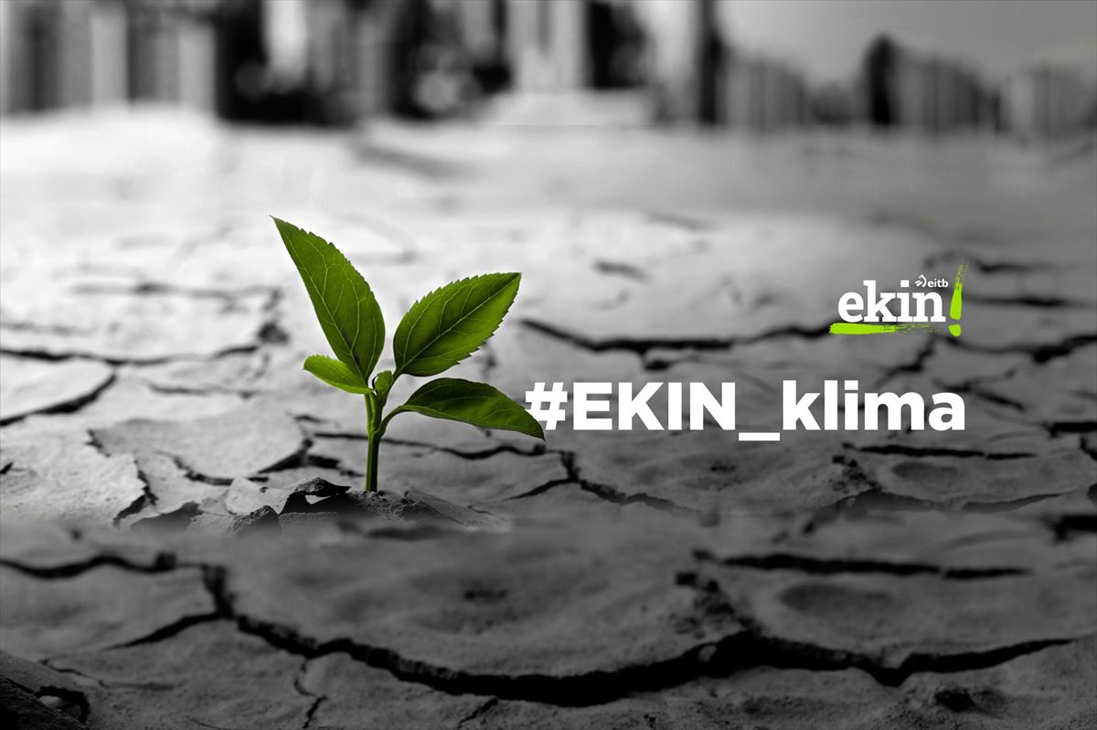 #EKIN_klima