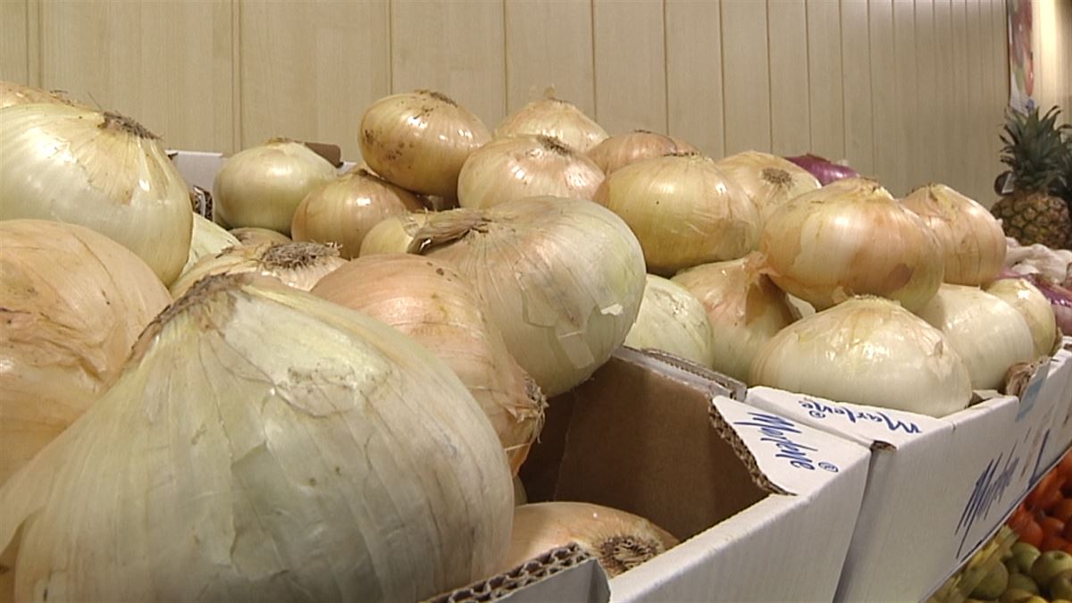 La cebolla se ha encarecido un 238 % este último año. Imagen obtenida de un vídeo de EITB Media.