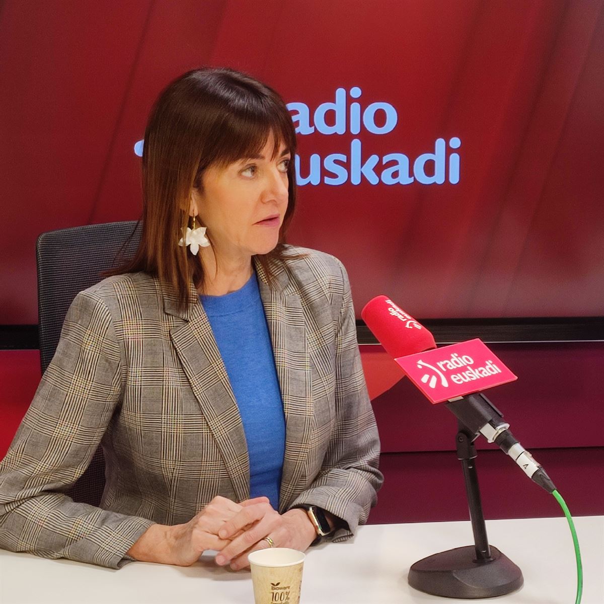 Idoia Mendia, Radio Euskadin.
