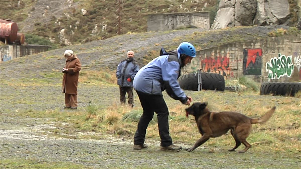 El grupo vasco de perros de rescate cumple 40 años en 2023. Imagen obtenida de un vídeo de EITB.