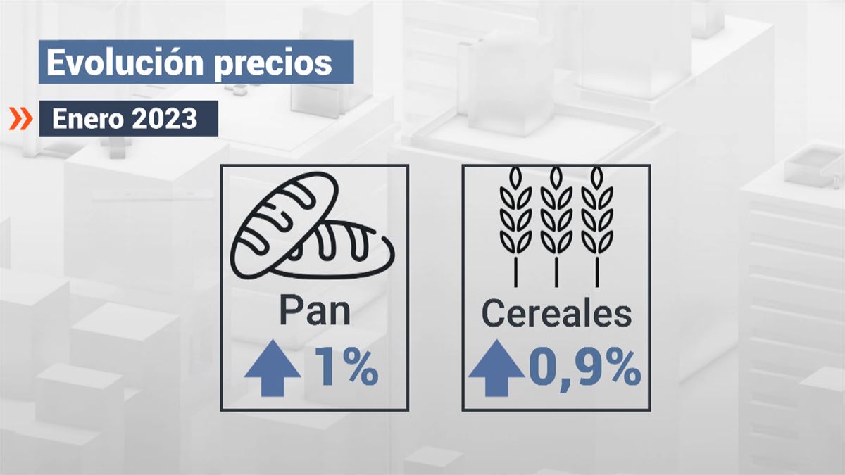 La cesta de la compra en Euskadi es 15 % más cara que hace un año. Imagen: EITB. 