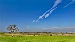 Ekaitzaren ostean, barealdia