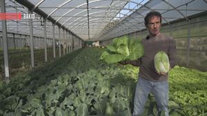 Pe Tsai aza txinatarra ezagutu dugu Ekorlegi baratzean Jon Ander Zalduegiren eskutik