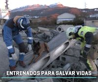 Un perro rescata a una persona sepultada bajo los escombros de un edificio: Hemos asistido a un simulacro
