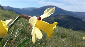 Udaberria hasi da, eta 92 egun eta 18 ordu iraungo du