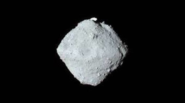 Las muestras del asteroide Ryugu contienen uracilo, una de las bases del ARN. La longevidad del tiburón