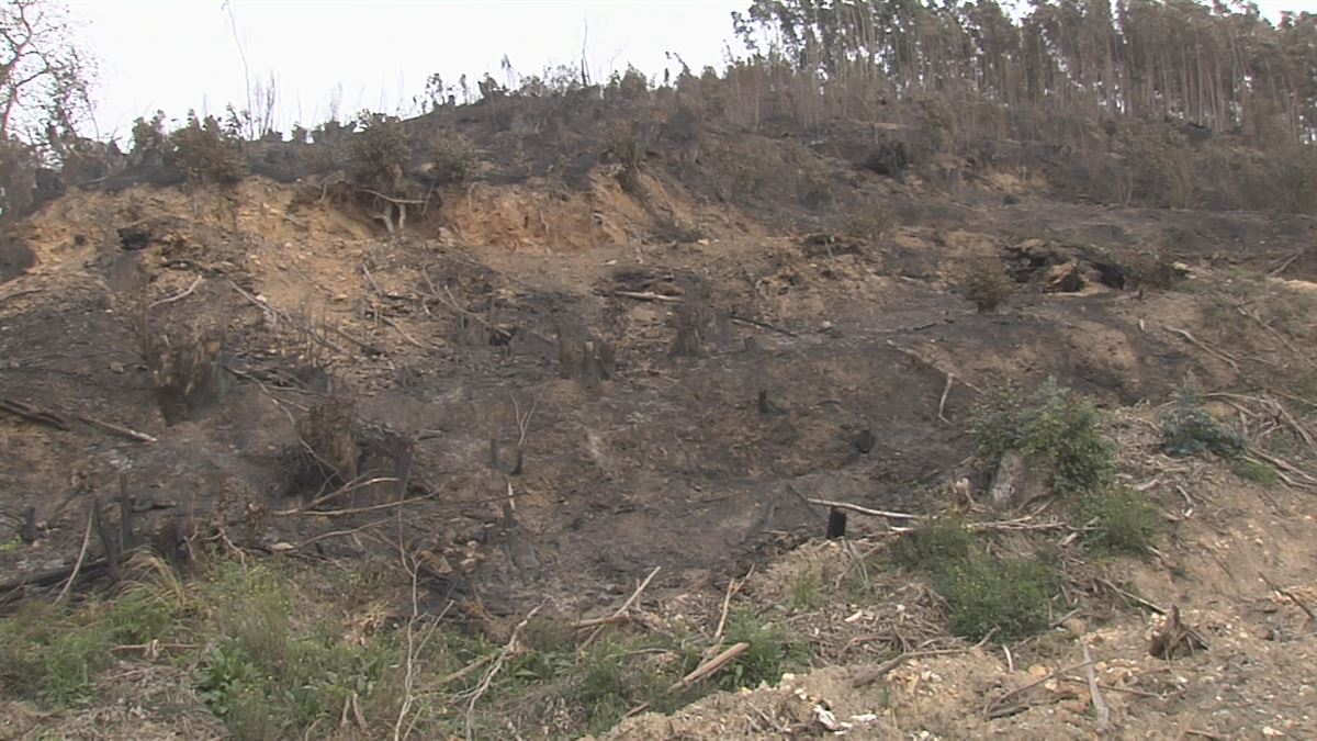 Incendio cerca del Valle de Carranza. Imagen obtenida de un vídeo de EITB Media.