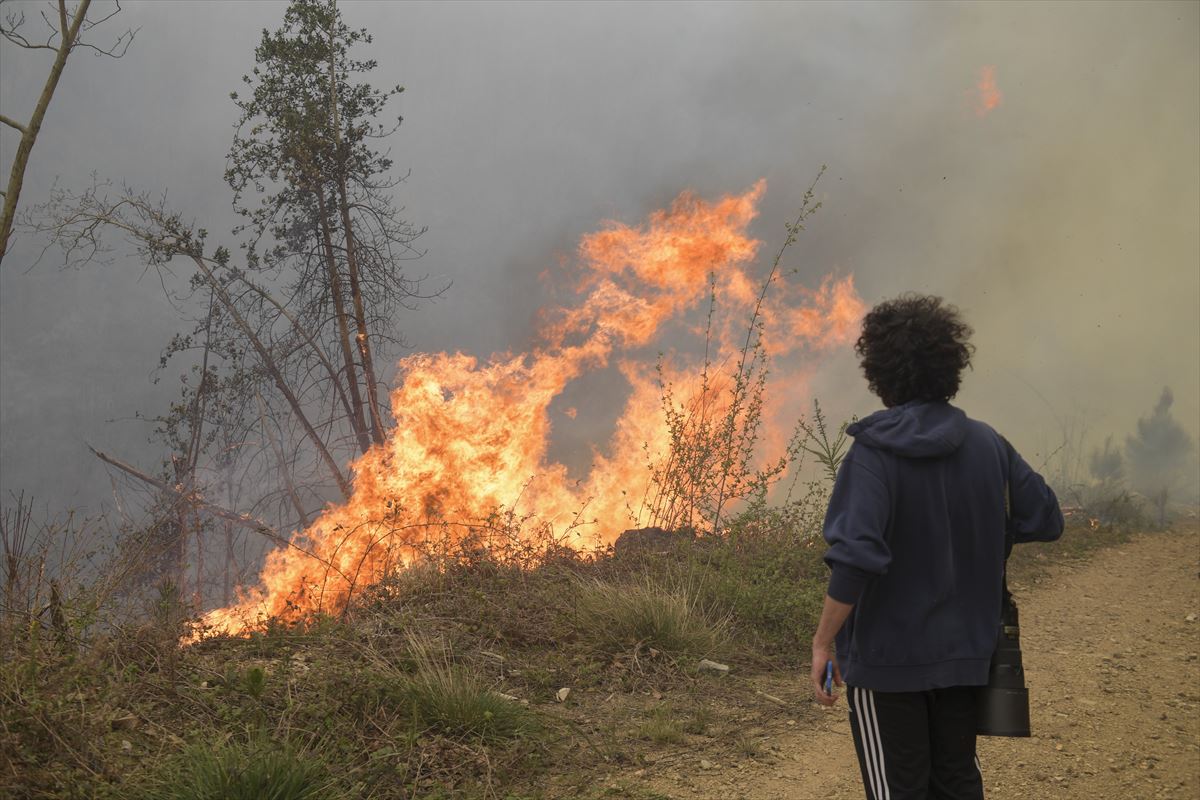 Incendio en Asturias. Foto: EFE.
