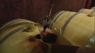 'Viñedos de Álava' y ABRA recurren la suspensión cautelar del permiso para comercializar sus vinos