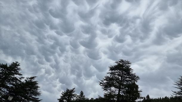 Mammatus izena duten hodei bereziak, Bergaran (Gipuzkoa). Argazkia: Iñaki Zenitagoia