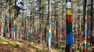 Abierto el nuevo Bosque de Oma