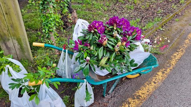 Landare Berezien Azoka, Aian. Argazkia: EITB Media