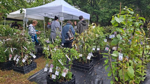 Landare Berezien Azoka, Aian. Argazkia: EITB Media