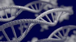 Un colgante paleolítico revela el ADN de su dueña. Proyecto Zoonomía. Javier Aizpurua y la nanofotónica