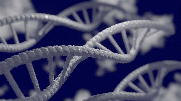 Un colgante paleolítico revela el ADN de su dueña. Proyecto Zoonomía. Javier Aizpurua y la nanofotónica