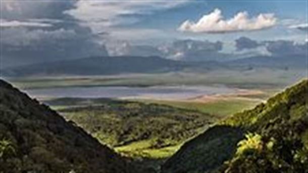  Ngorongoro