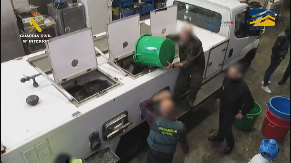 Momento de la operación. Imagen obtenida de un vídeo de la Guardia Civil.