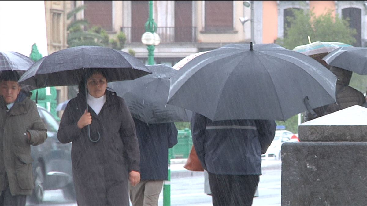 La preocupación aumenta en el sur de Navarra por la falta de lluvias. Imagen de EITB MEDIA.