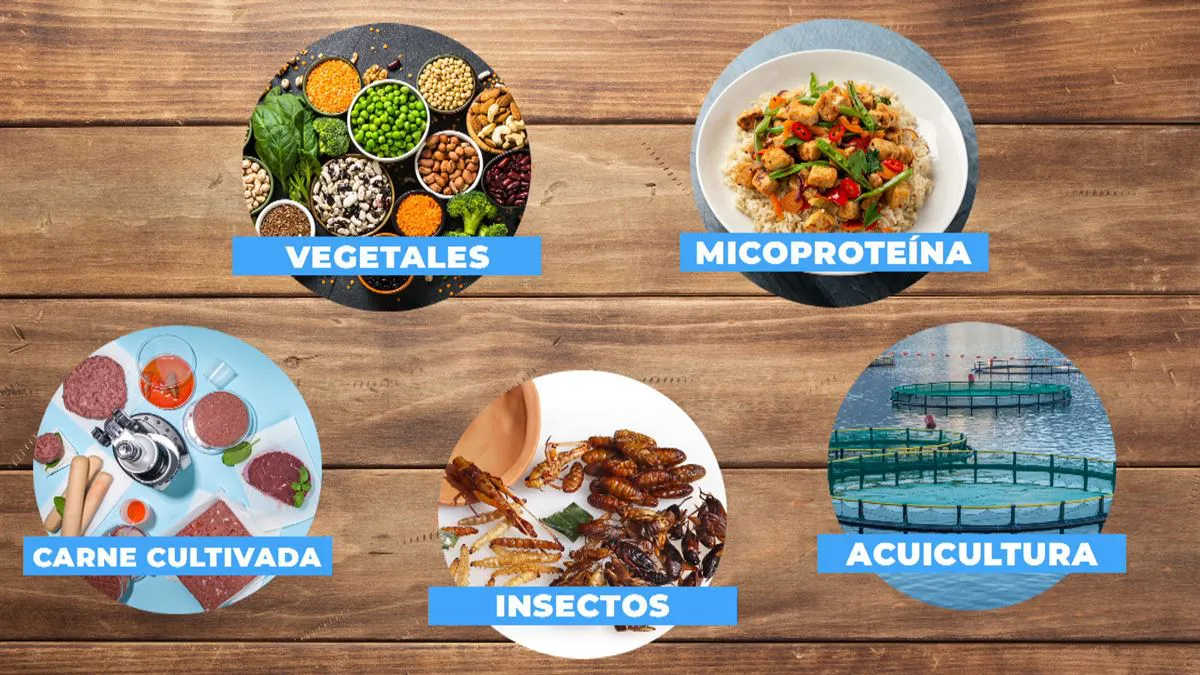 Tres retos de la industria de proteínas alternativas en el 2025