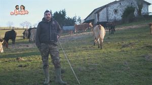 Visita al ganadero Ibai Alberdi en Aretxabaleta para conocer a sus vacas terreñas