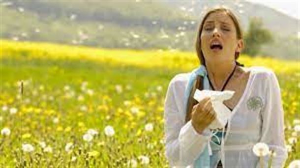 La OSI Araba registra nuevas alergias respiratorias derivadas del polen de los árboles