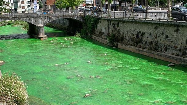 El río Urola de Azkoitia se tiñe de verde. Argazkia: EITB MEDIA.