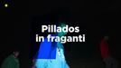 Varios concursantes pillados ''in fraganti'', esta noche, en el debate de Irune, Iri y Lobo