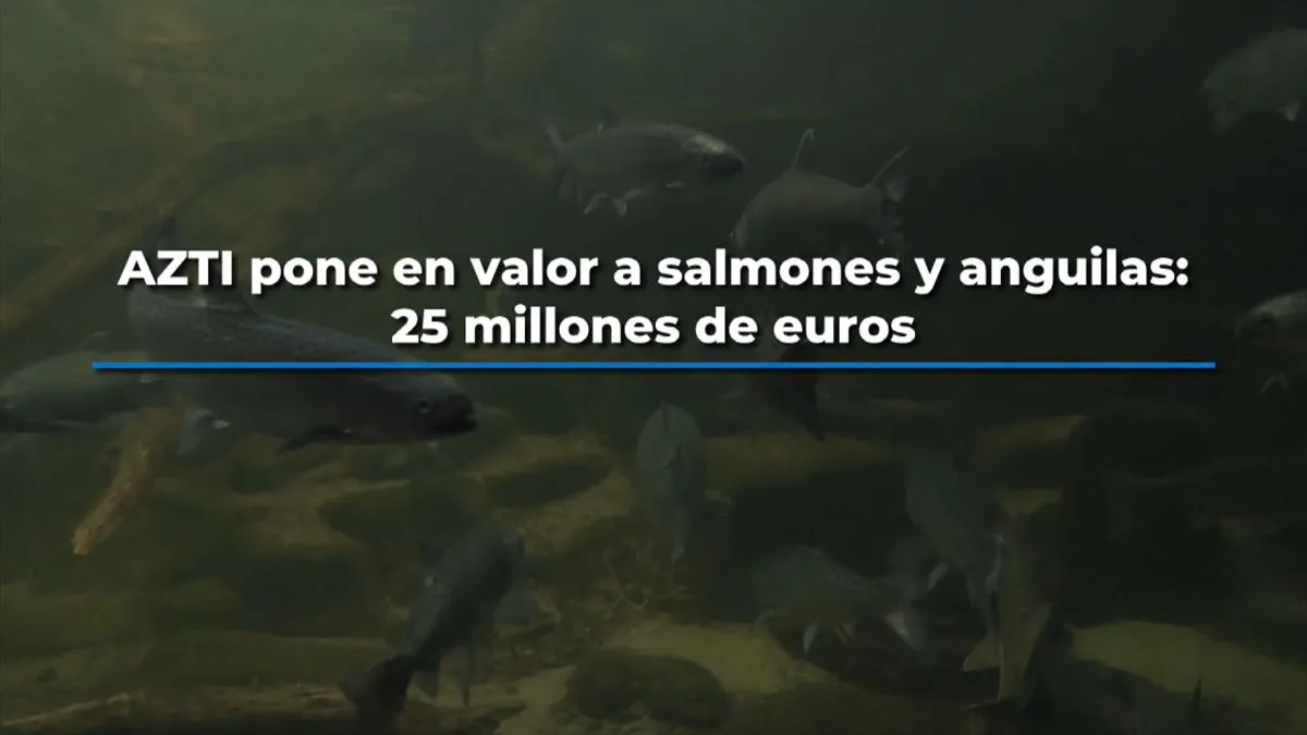 AZTI pone en valor a salmones y anguilas: 25 millones de euros, como mínimo