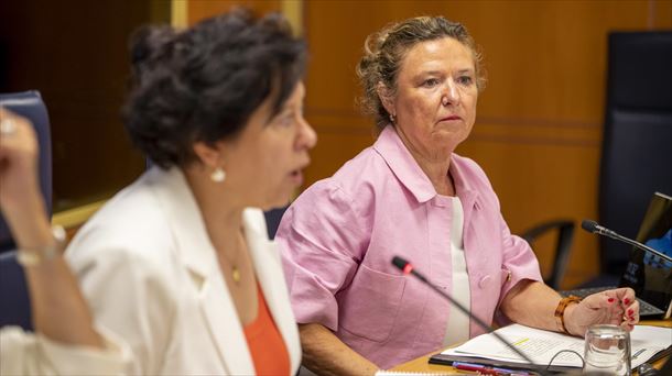 La consejera de Salud, Gotzone Sagardui, en la presentación de este lunes. Foto: EFE