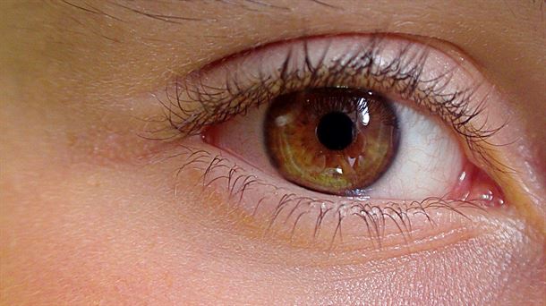 Abre los ojos, una mirada a la evolución y singularidad del órgano de la vista. Cambios en la menopausia
