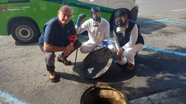 Invasión de cucarachas en Pamplona