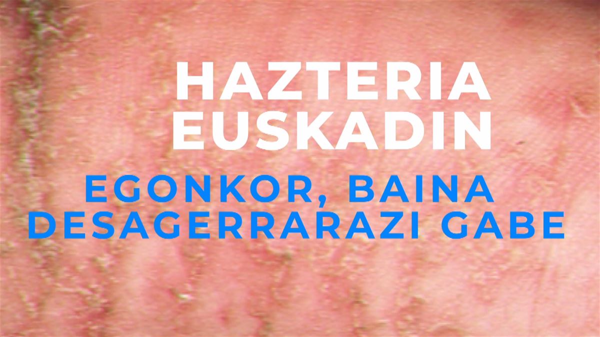 Hazteria kasuak egonkor mantentzen dira