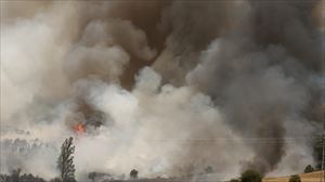 Olloki eta Altzuza artean piztutako sutea kontrolpean dago, eta ustezko egilea atxilotu dute