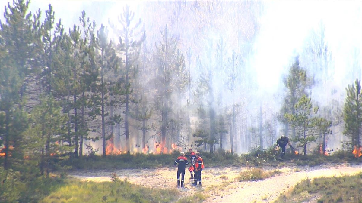 Incendio forestal entre Olloki (Valle de Esteribar) y Alzuza (Valle de Egüés). Foto: EFE
