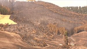 Ollokiko suteak kontrolpean jarraitzen du, fronte aktiborik gabe