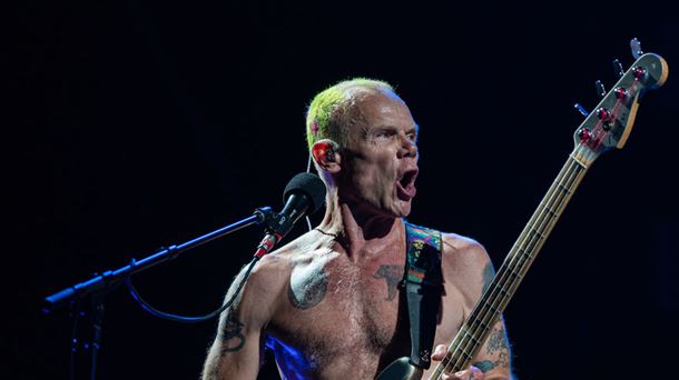 Flea