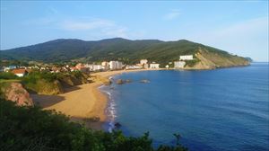 Karabela portugesen, marmoken eta ostreopsis algen jarraipen berezia egingo du Osasun Sailak udan