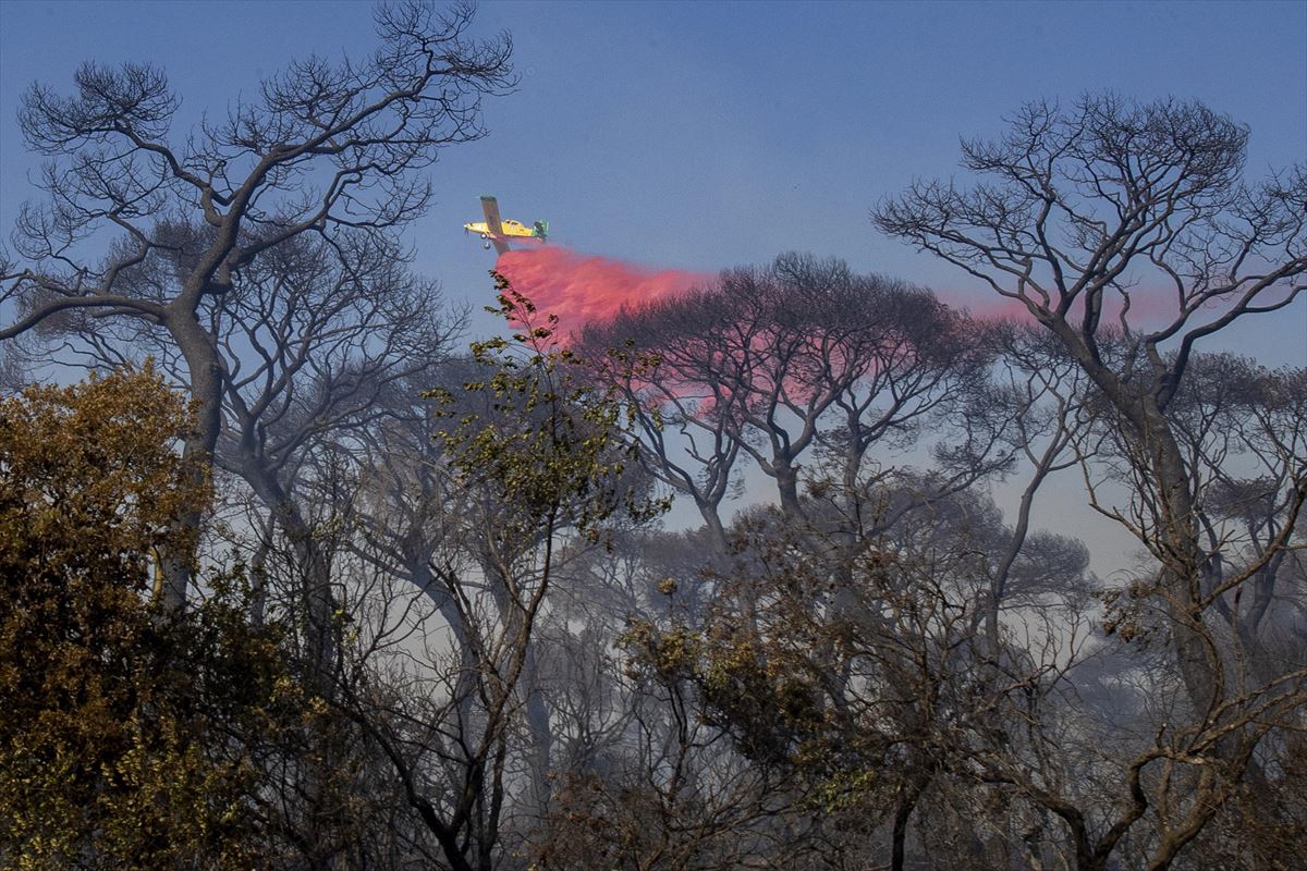 Hay varios aviones trabajando en la zona para extinguir el incendio. Foto: EFE