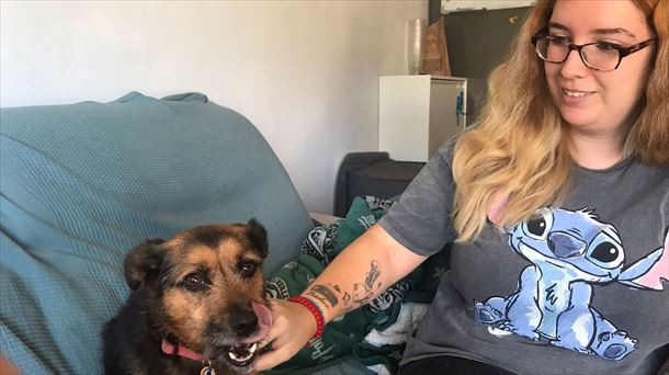 Casas particulares para cuidar a nuestras mascotas cuando nos vamos de vacaciones