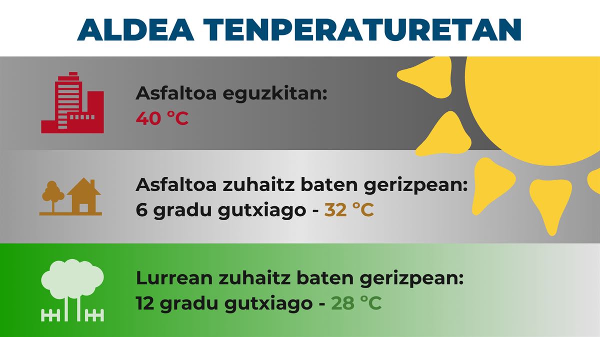 Aldea tenperaturetan, lurzoruaren arabera.