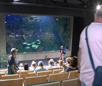 El Festival de Cine del Mar del Aquarium ofrece películas relacionadas con el mar todas las mañanas gratis